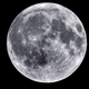 Illustration for article titled Over 200 New Moonquakes Discovered in Apollo 16 Data